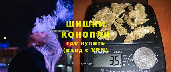 дживик Билибино